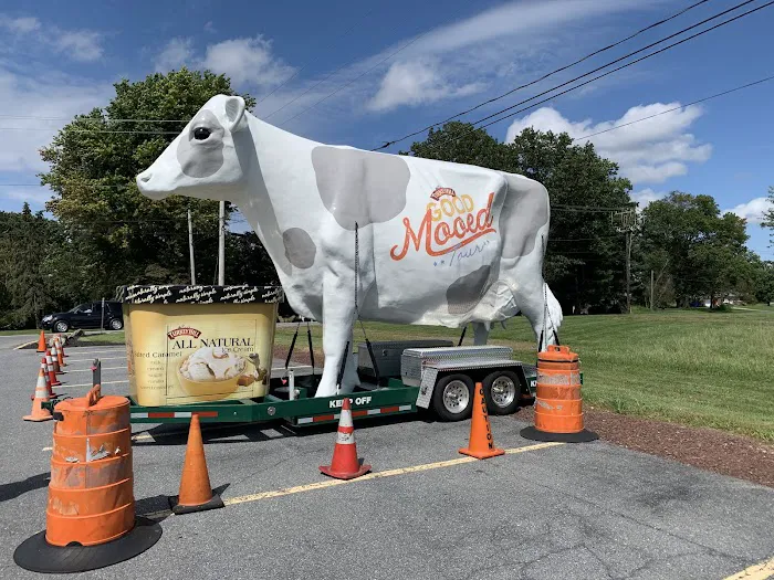 Turkey Hill Dairy Picture 6