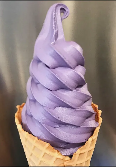 Ben & George's Ice Cream Picture 8