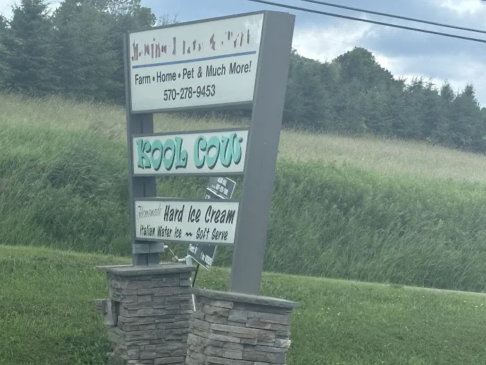 Kool Cow Picture 2