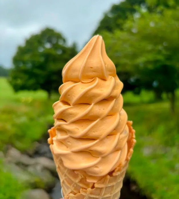 Harding's Dairy Bar & Golf Picture 5