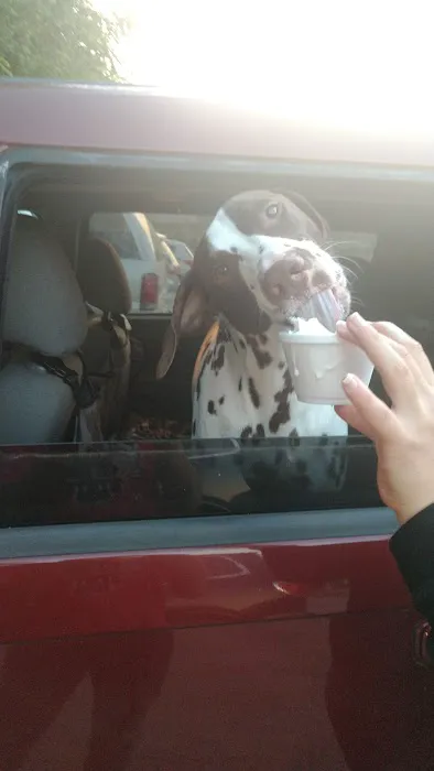 Randalls' Ice Cream Picture 4