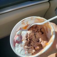 Drizzle Ice Cream of Alburtis ico
