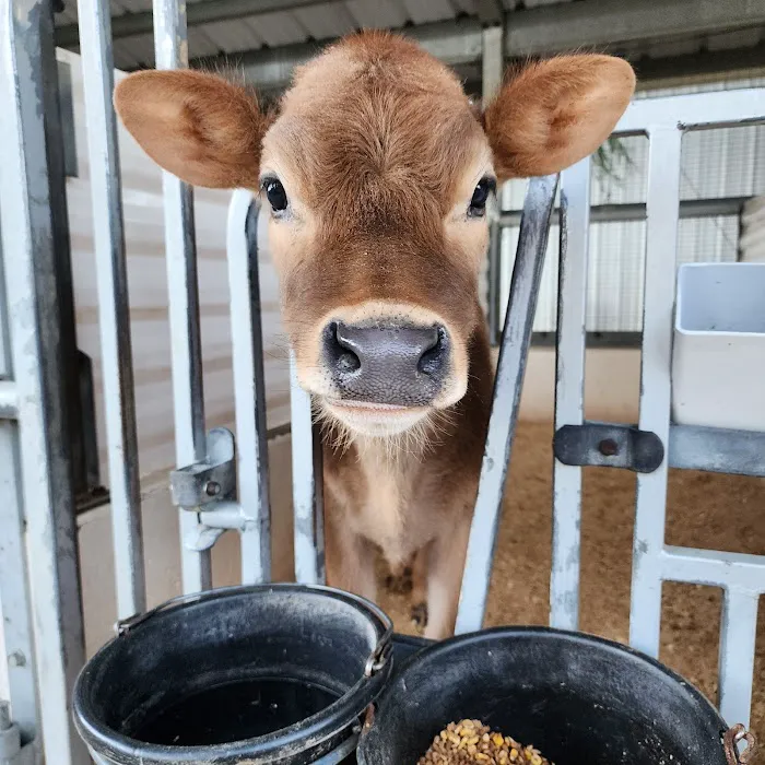 Lapp Valley Farm Picture 3