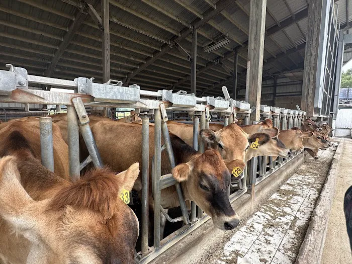 Lapp Valley Farm Picture 9
