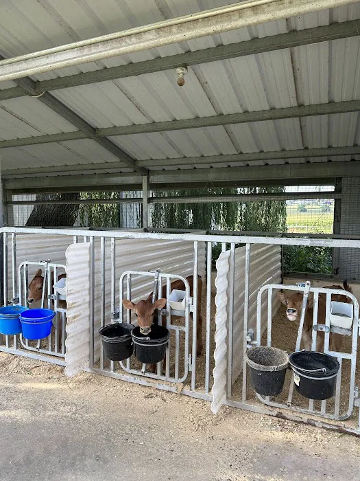 Lapp Valley Farm Picture 7
