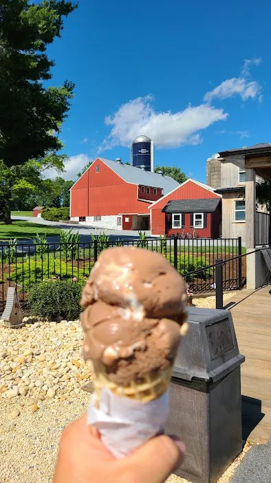 Down on the Farm Creamery Picture 9