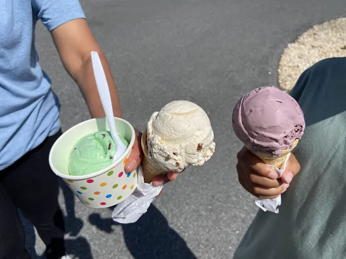 Down On The Farm Creamery Picture 3