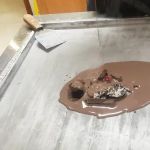 Rolley's Ice Cream Shop
