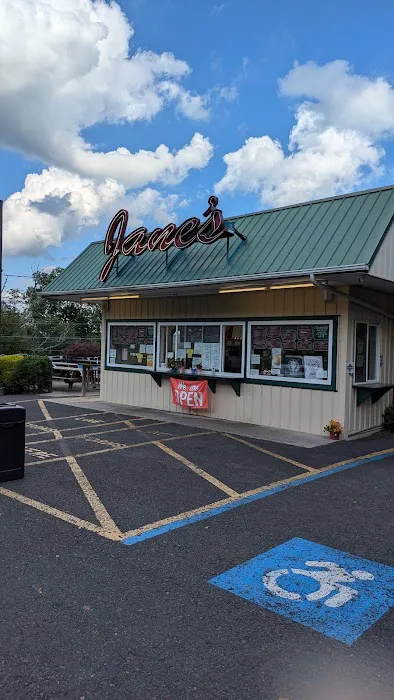 Janes Ice Cream and Eatery Picture 7