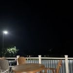 King Kone & the Jungle Kafe