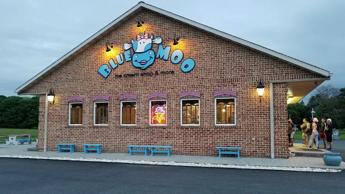 Blue Moo Ice Cream Picture 3