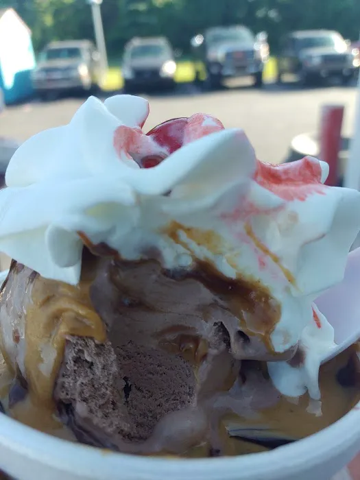 Blue Moo Ice Cream Picture 5