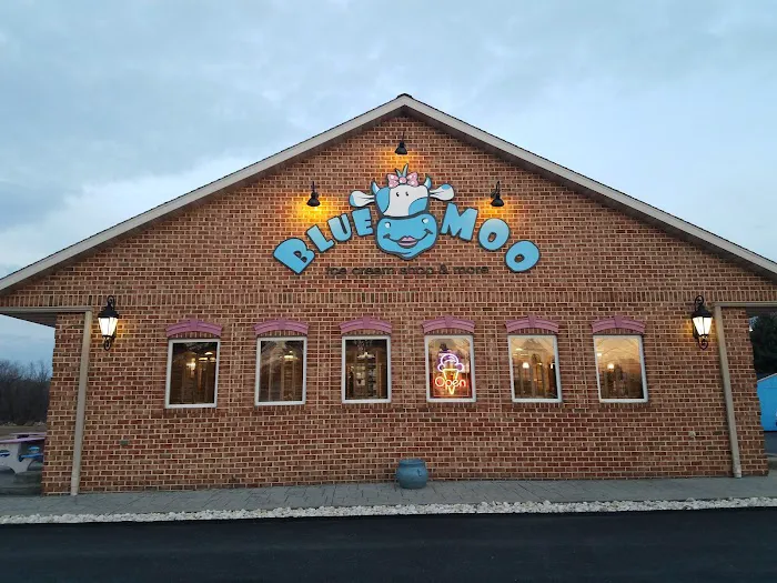 Blue Moo Ice Cream Picture 9