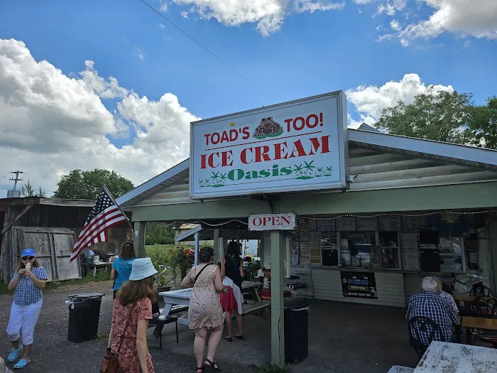 Toad's Too Ice Cream Oasis Picture 3