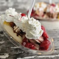 Toad's Too Ice Cream Oasis ico