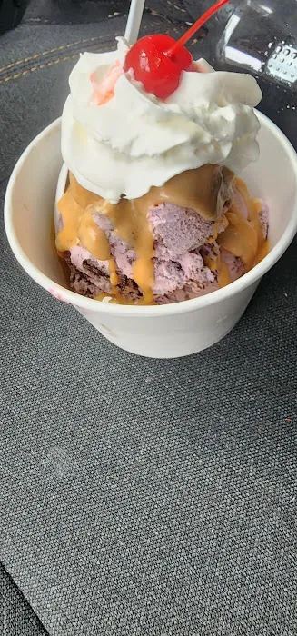 Toad's Too Ice Cream Oasis Picture 10