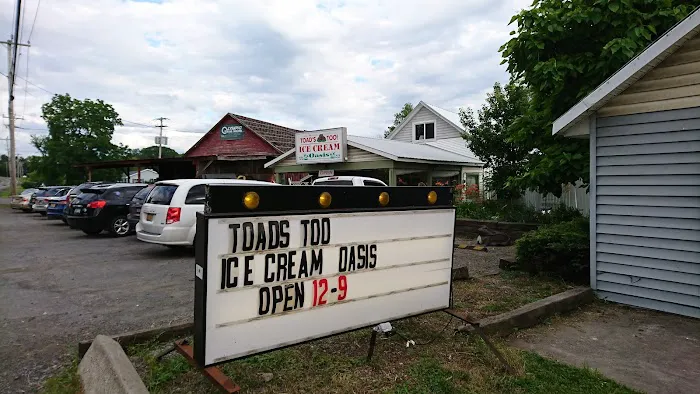 Toad's Too Ice Cream Oasis Picture 5