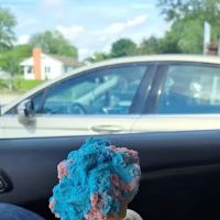 Fat Dad's Ice Cream Shop ico