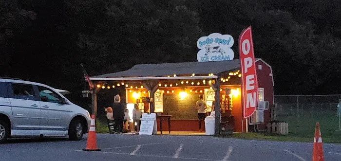 Holy Cow! Ice Cream Picture 2