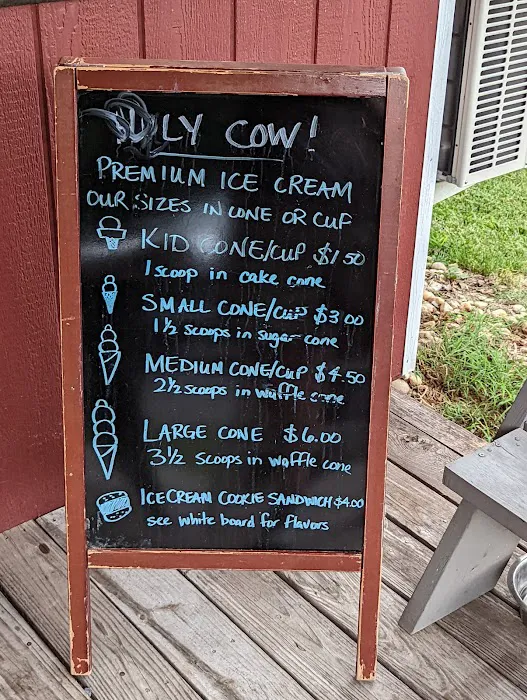 Holy Cow! Ice Cream Picture 5