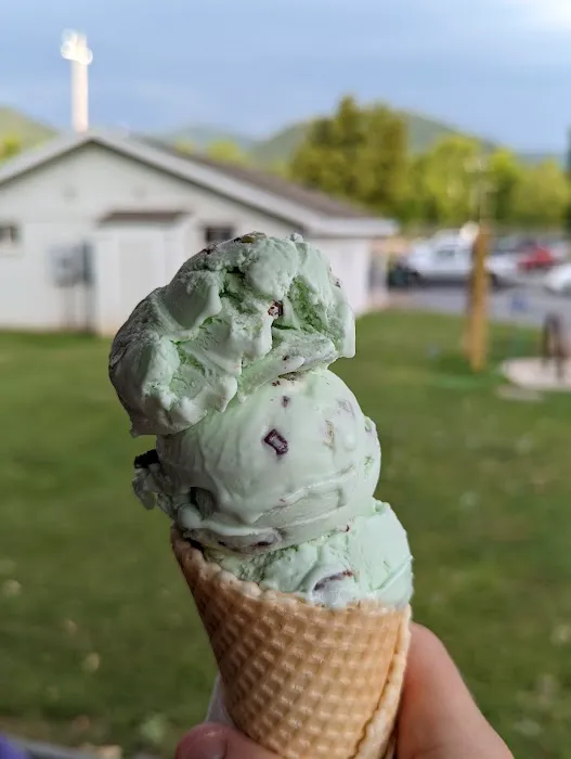 Holy Cow! Ice Cream Picture 10