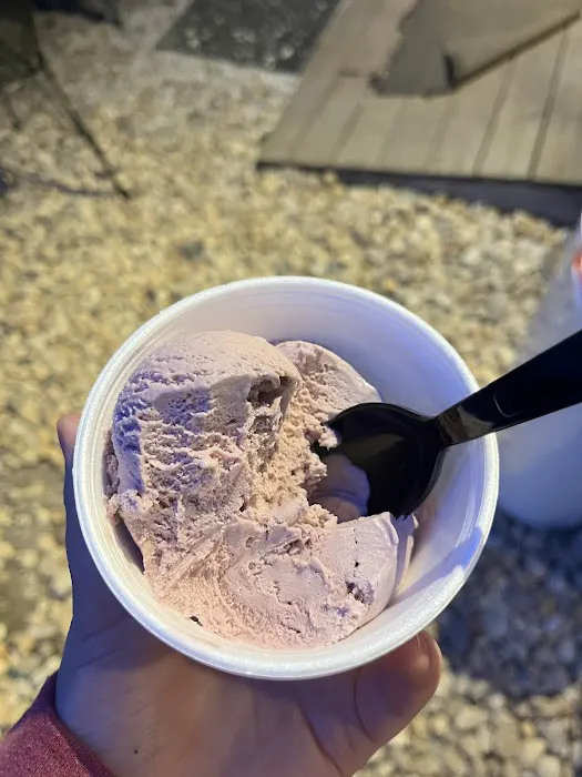 Holy Cow! Ice Cream Picture 7