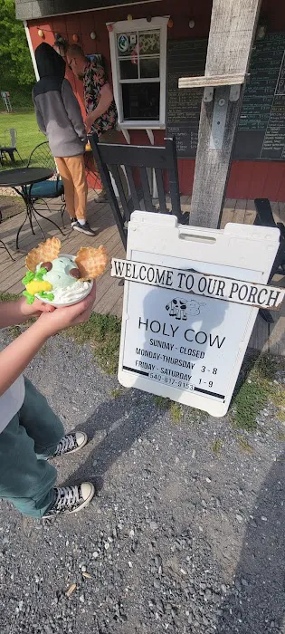 Holy Cow! Ice Cream Picture 8