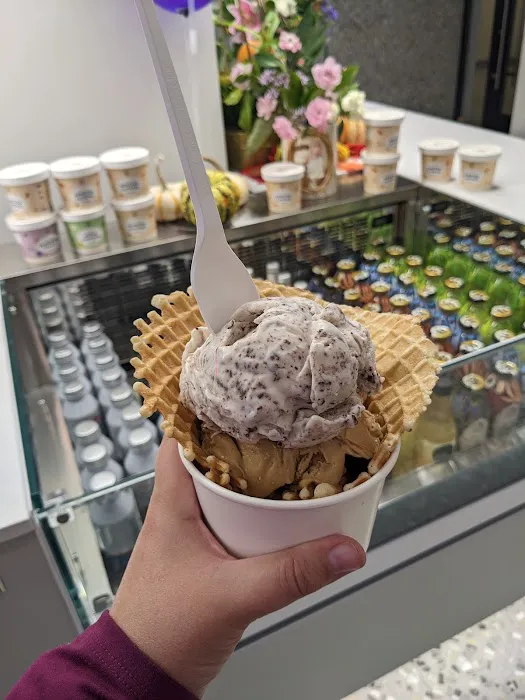 Terra's Ice Cream, Coffee, & Sweets Picture 4