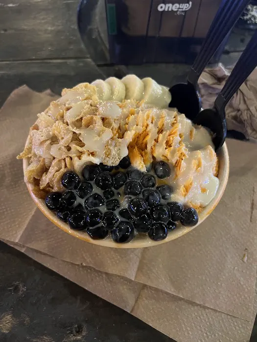 SnoCream Company Picture 2