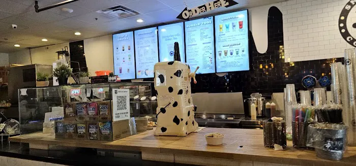 SnoCream Company Picture 7