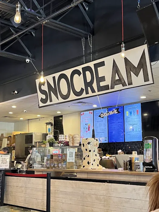 SnoCream Company Picture 4
