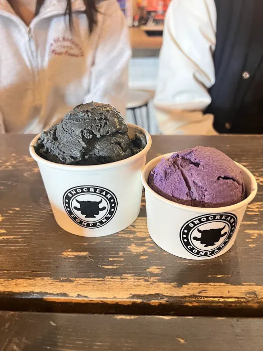 SnoCream Company Picture 10