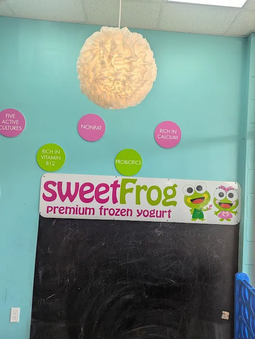 sweetFrog Premium Frozen Yogurt Picture 4