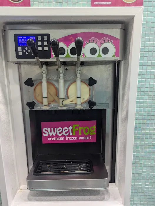 sweetFrog Premium Frozen Yogurt Picture 3