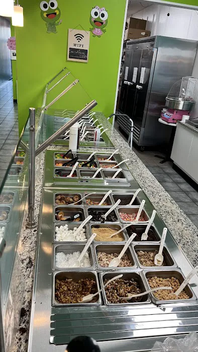 sweetFrog Premium Frozen Yogurt Picture 8