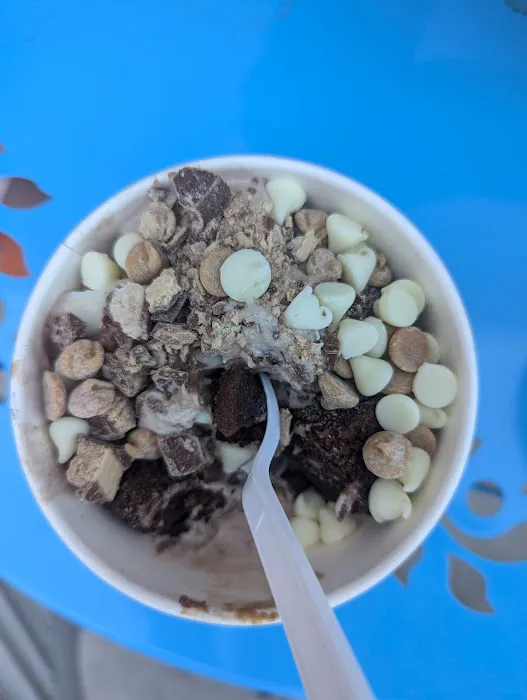 sweetFrog Premium Frozen Yogurt Picture 1