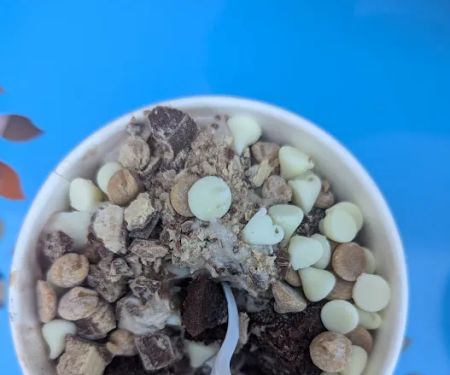 sweetFrog Premium Frozen Yogurt