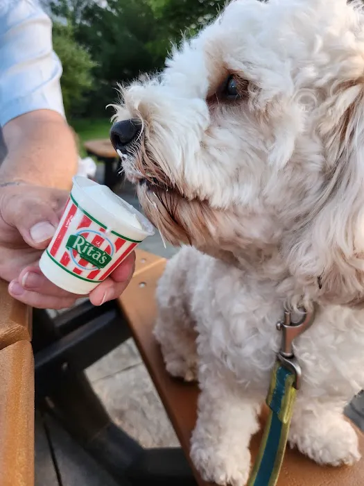 Rita's Italian Ice & Frozen Custard Picture 3
