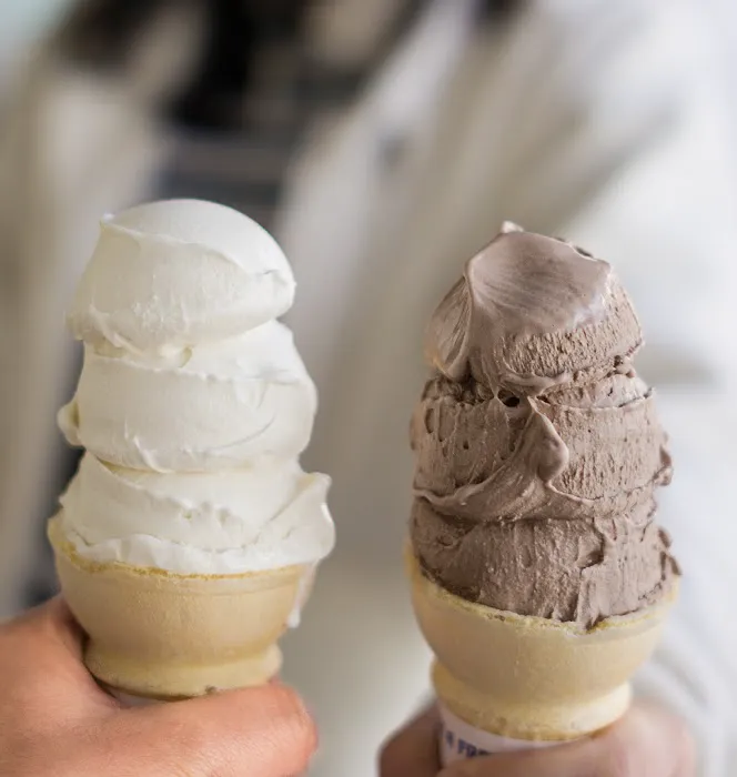 The Meadows Original Frozen Custard Picture 3