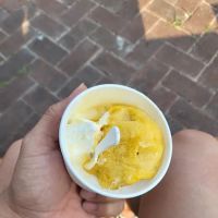 Gusto Gelateria ico