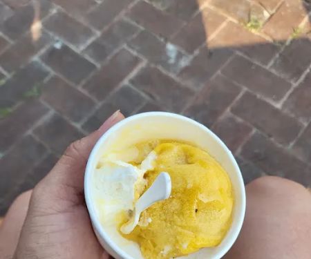 Gusto Gelateria