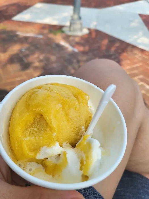Gusto Gelateria Picture 7