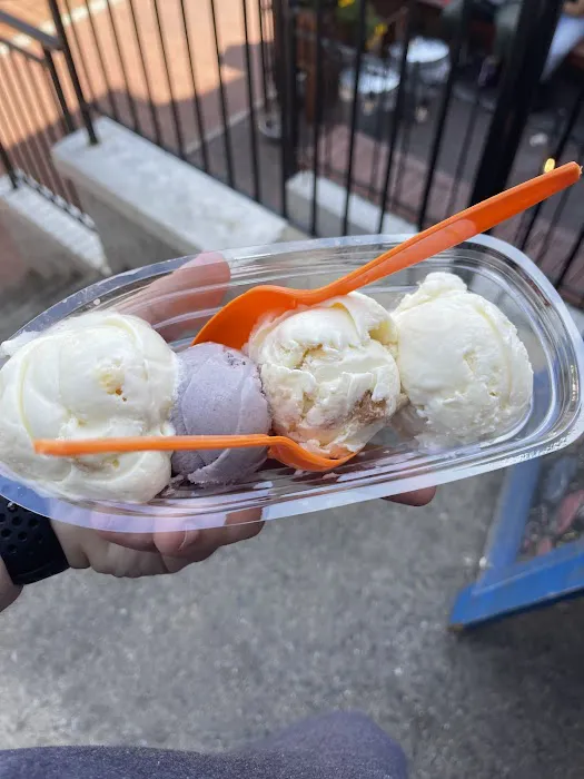 Mount Desert Island Ice Cream Picture 7