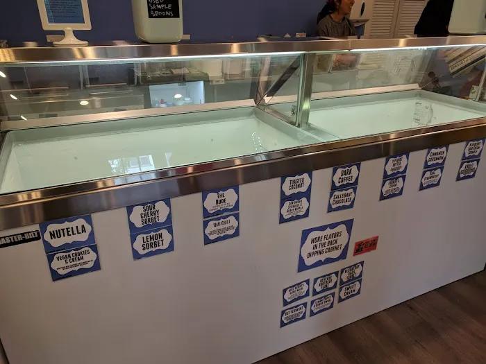 Mount Desert Island Ice Cream Picture 9