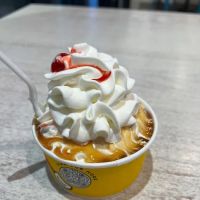Carvel ico