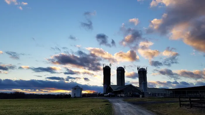 Broom's Bloom Dairy Picture 3