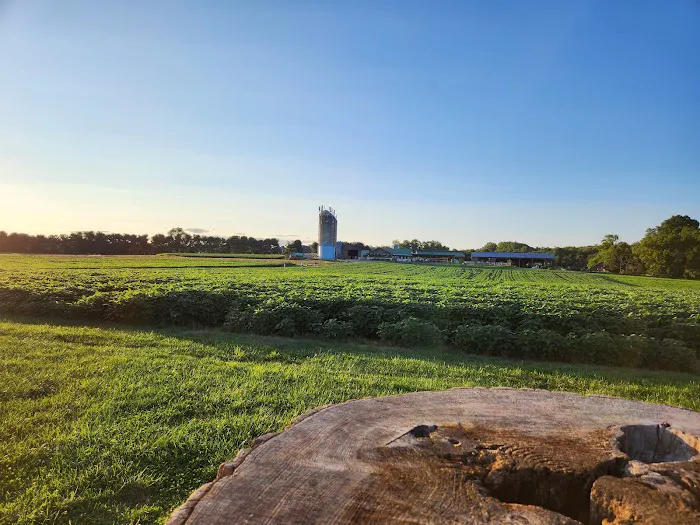 Broom's Bloom Dairy Picture 6