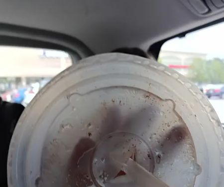 Dairy Queen (Treat)