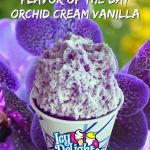 Icy Delights - Martin Plaza