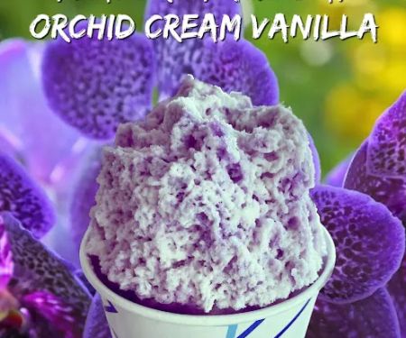 Icy Delights - Martin Plaza